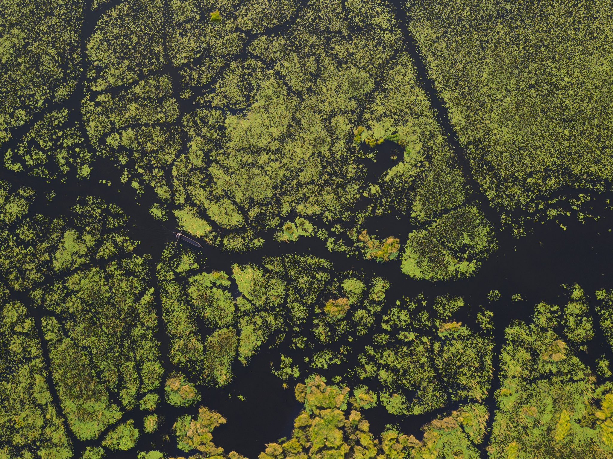 mokoro-ride-drone-vumbura-Plains-Okavango-Delta-Botswana.jpg