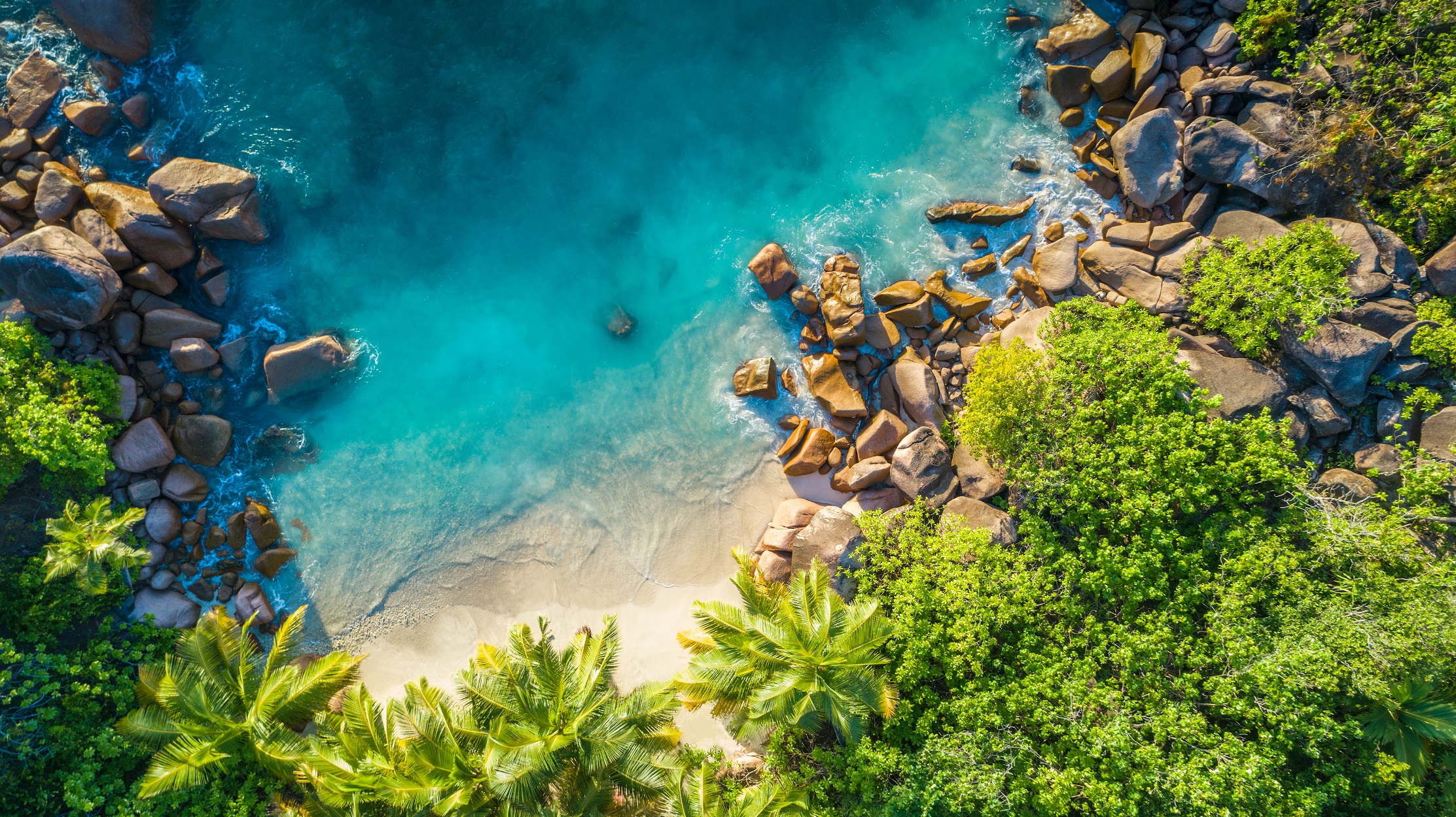 tropical-beach-with-sea-and-palm-taken-from-drone-seychelles-famous-shark-beach232359365-1.jpeg