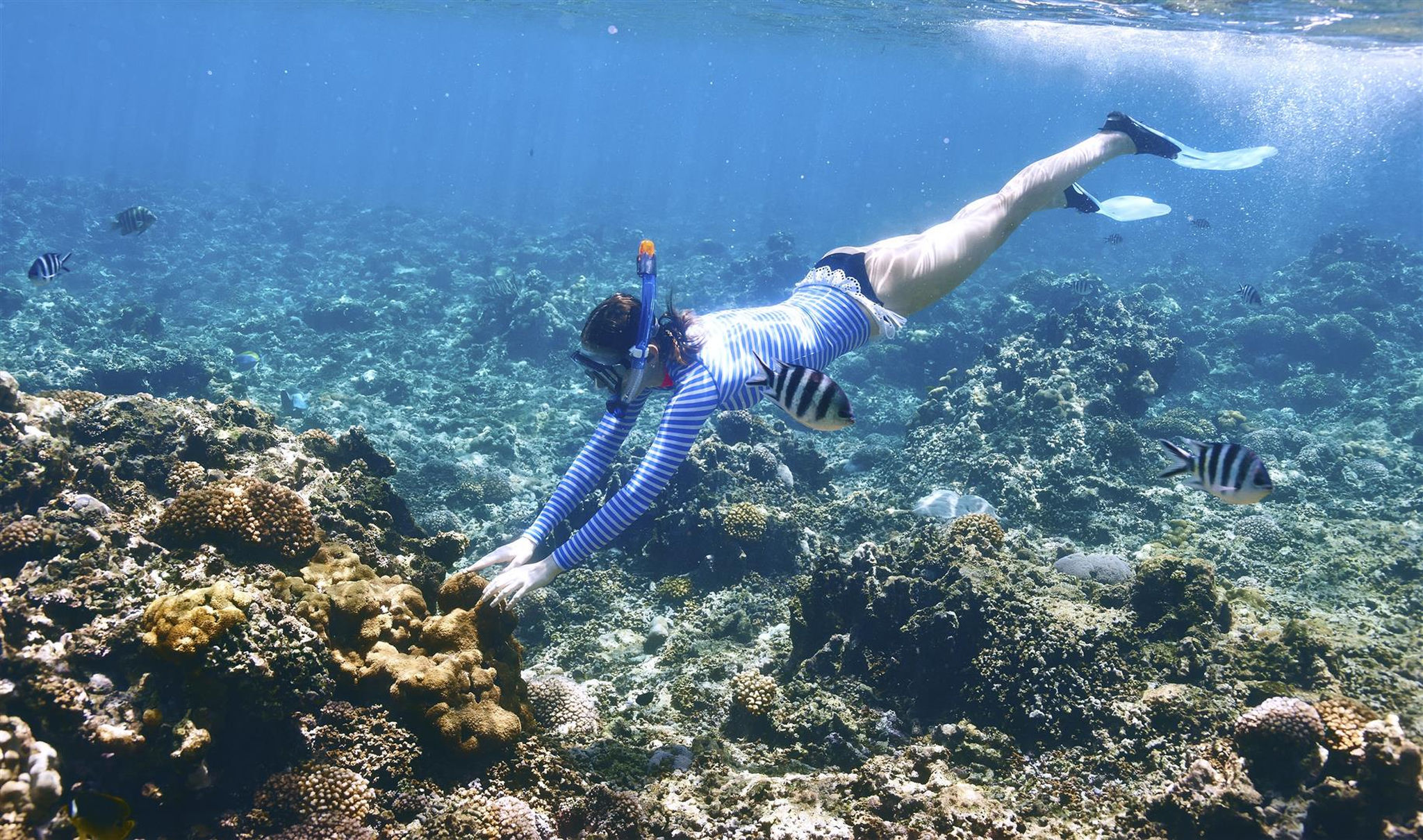 woman-snorkelling-private-islands-seychelles.jpg