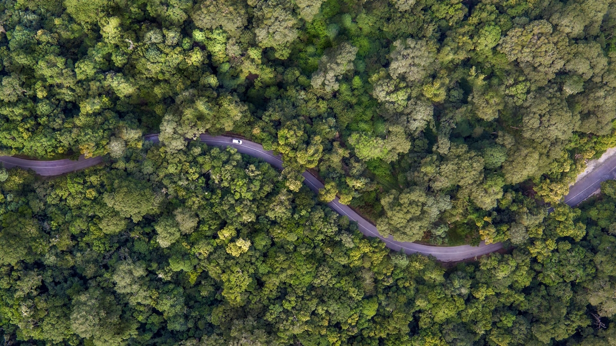 garden-route-road.jpg