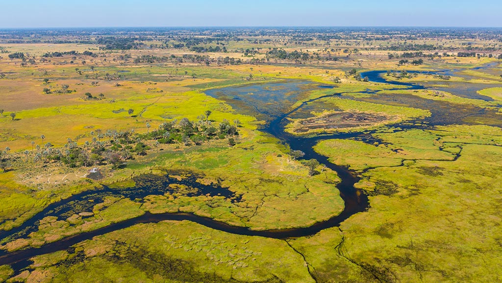 Aerial view of Okavango Delta