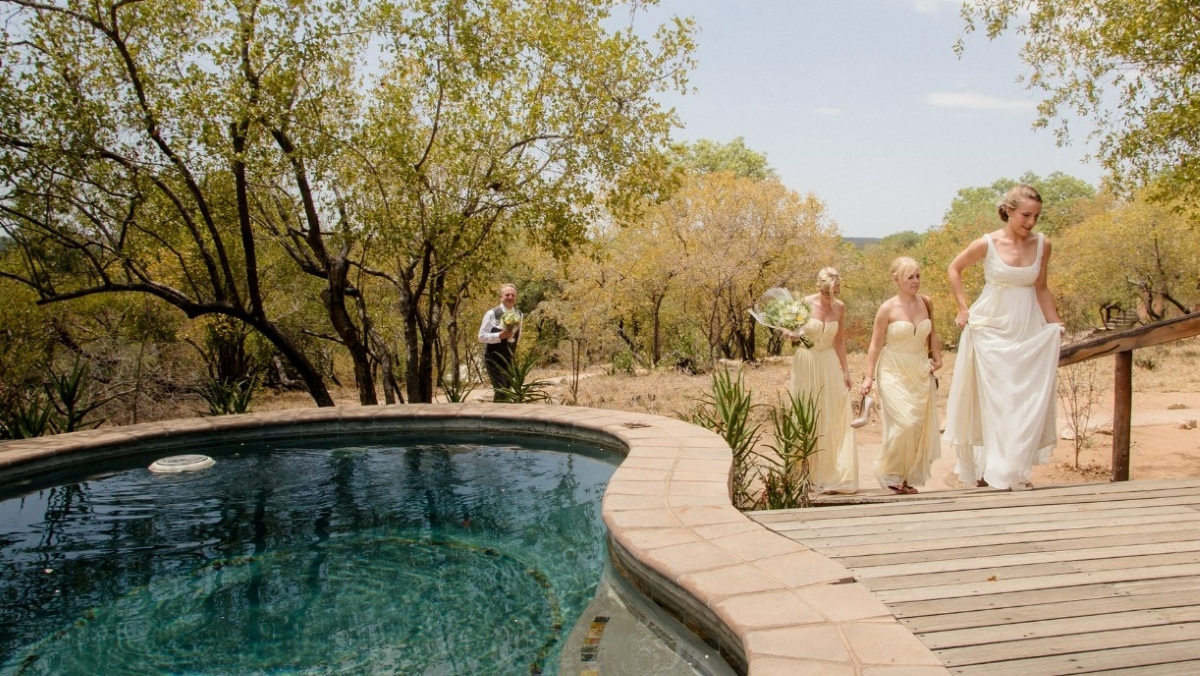 Wedding at a safari