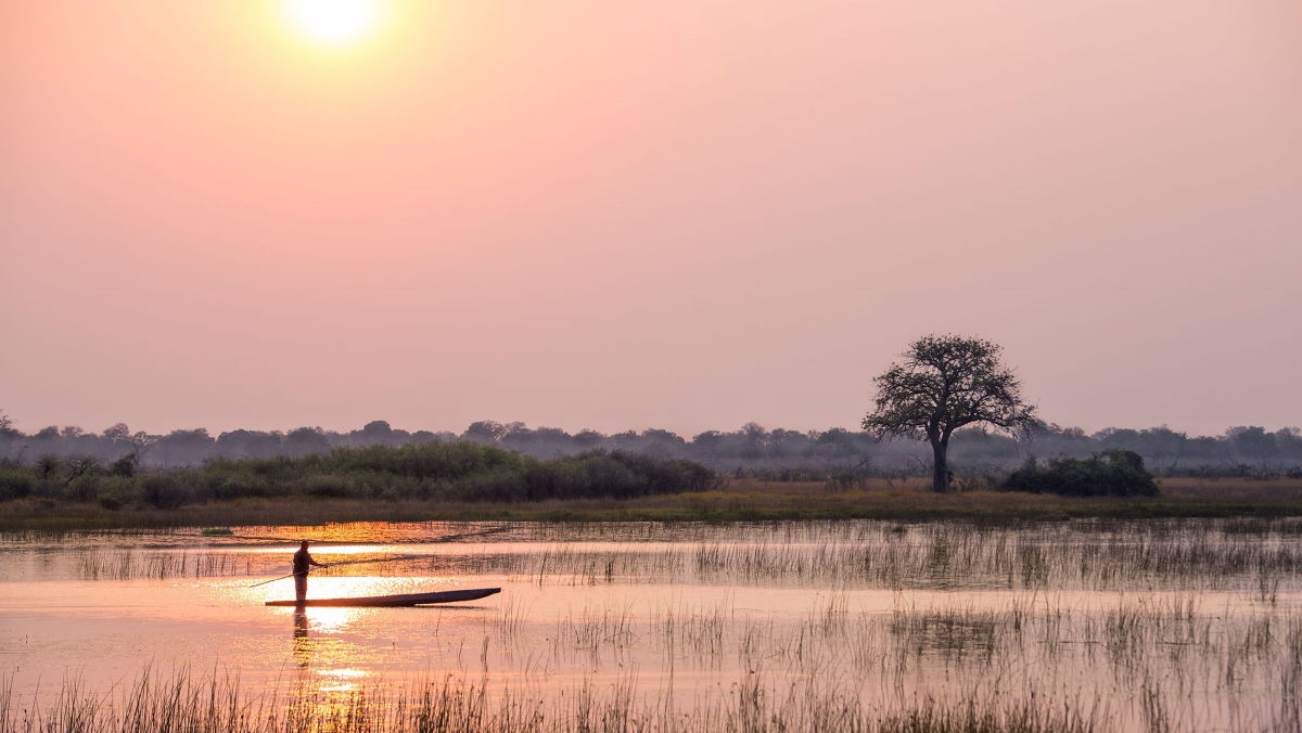 Mokoro in Okavango Delta