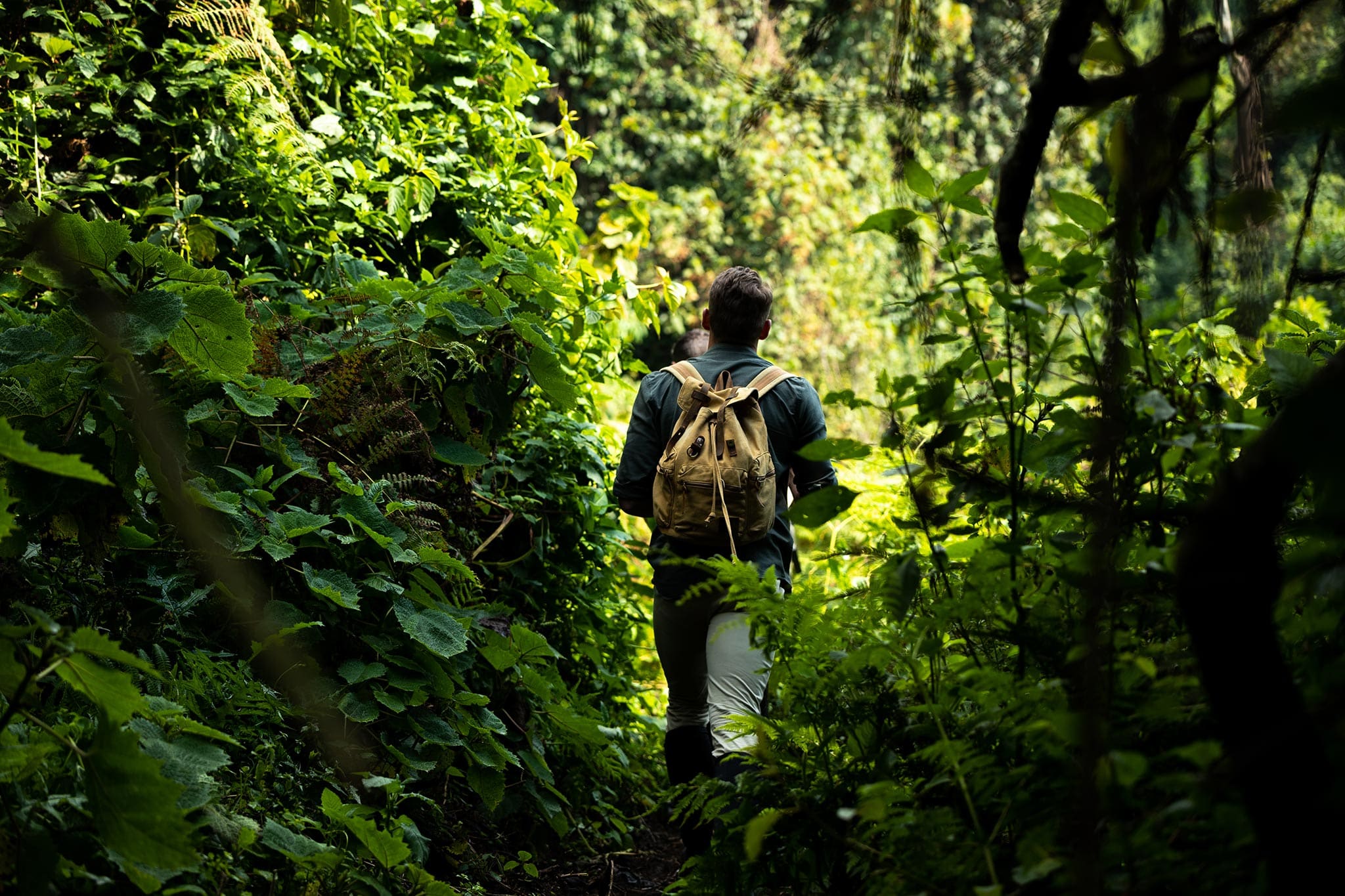 Adventure through the rainforests of Rwanda
