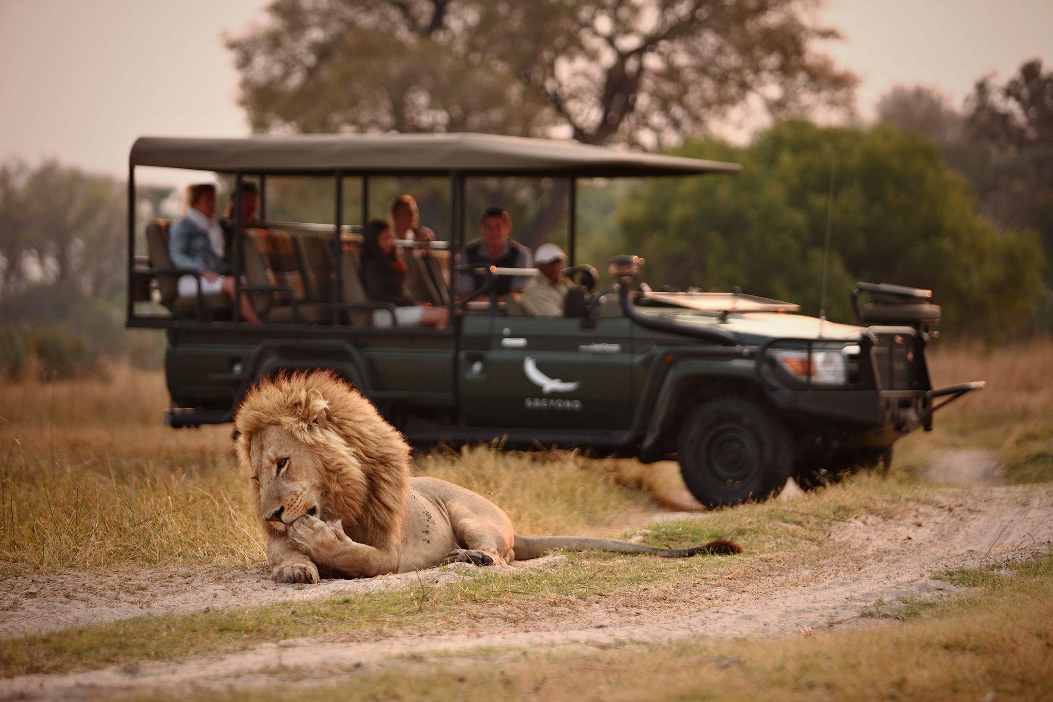 sandibe-safari-lodge-activities-game-drive-01.jpg