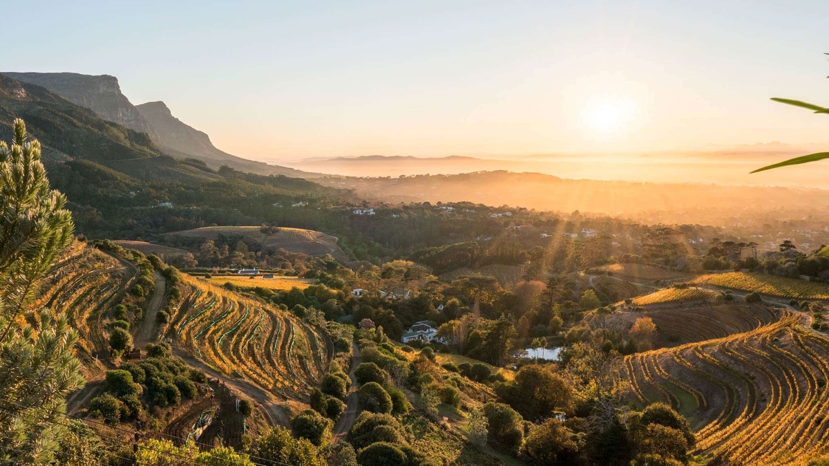 Cape Winelands