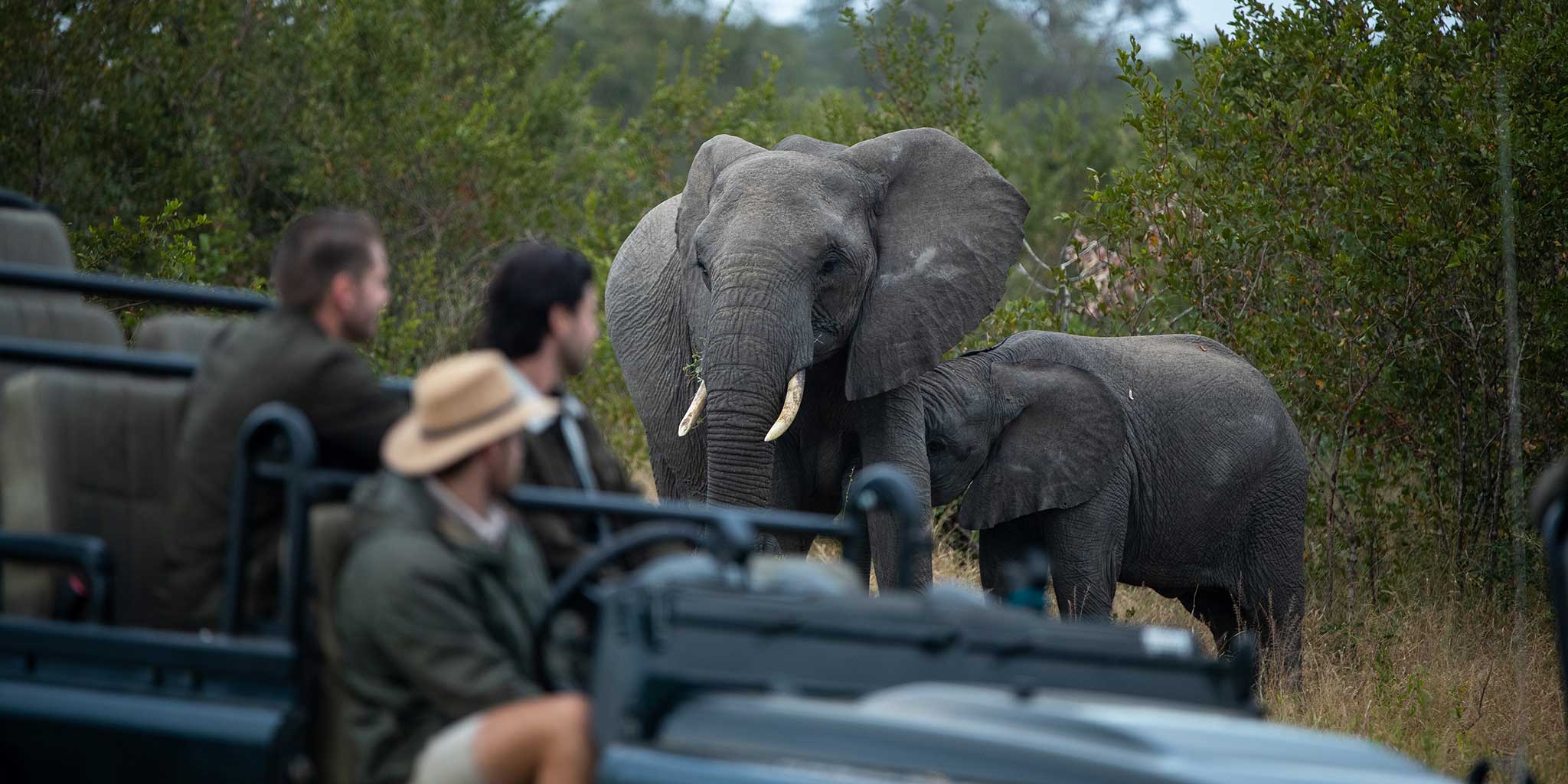 The Kruger National Park is home to Africa’s biggest and greatest animals
