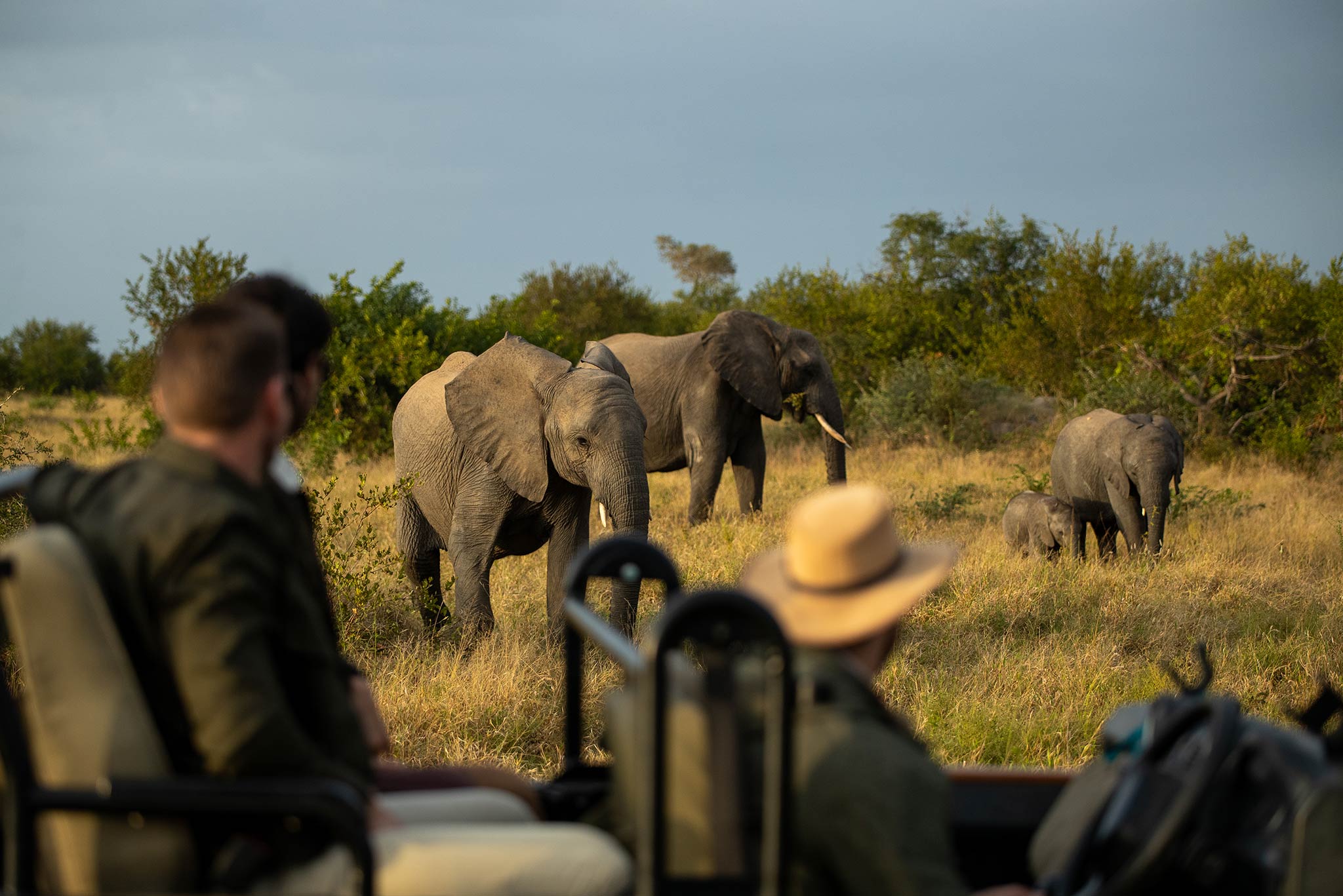Kruger National Park Honeymoon