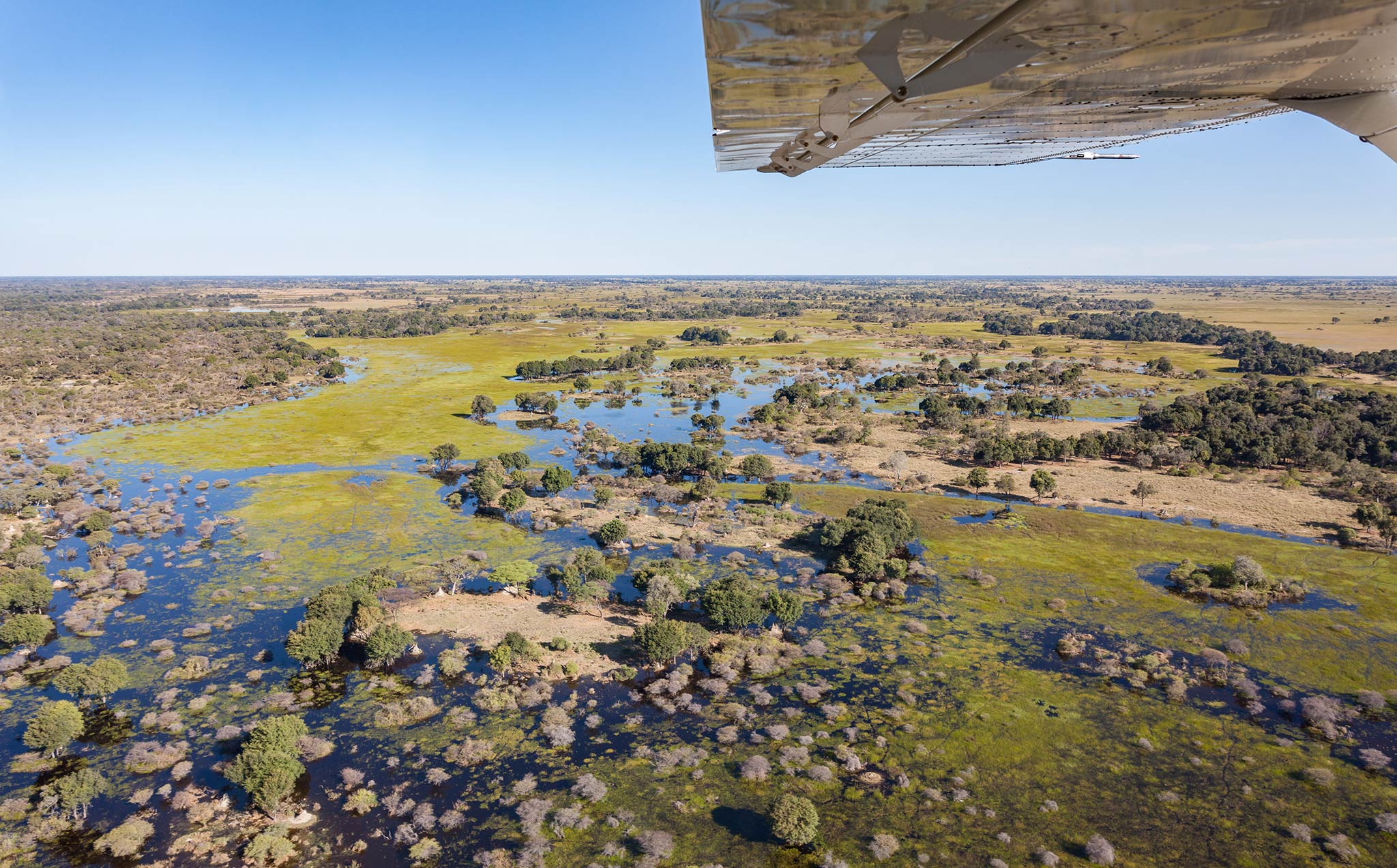 Okavango Delta