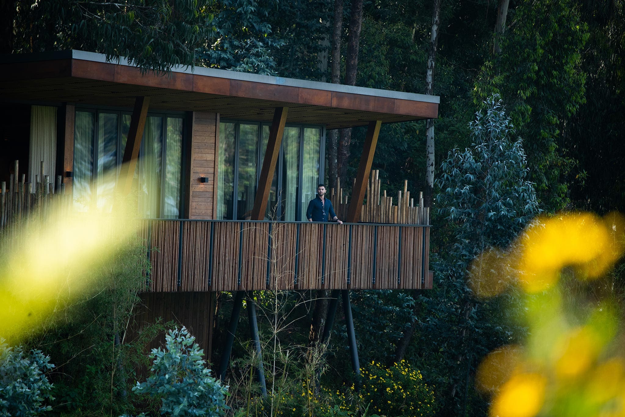 Gorrila's Nest in the Rwandan rainforest