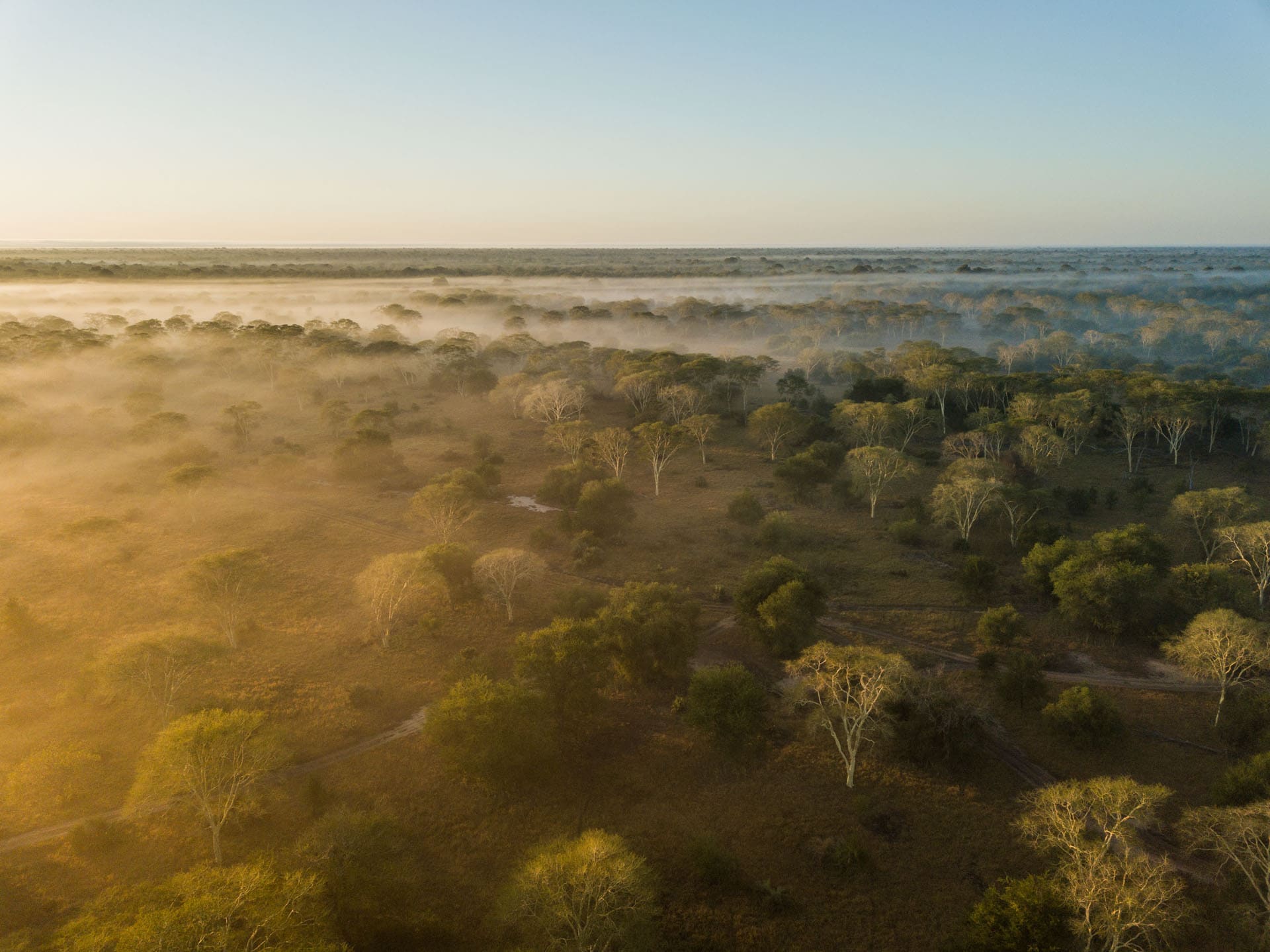 gorongosa-safaris-muzimu-lodge-aerial-view-01.jpg