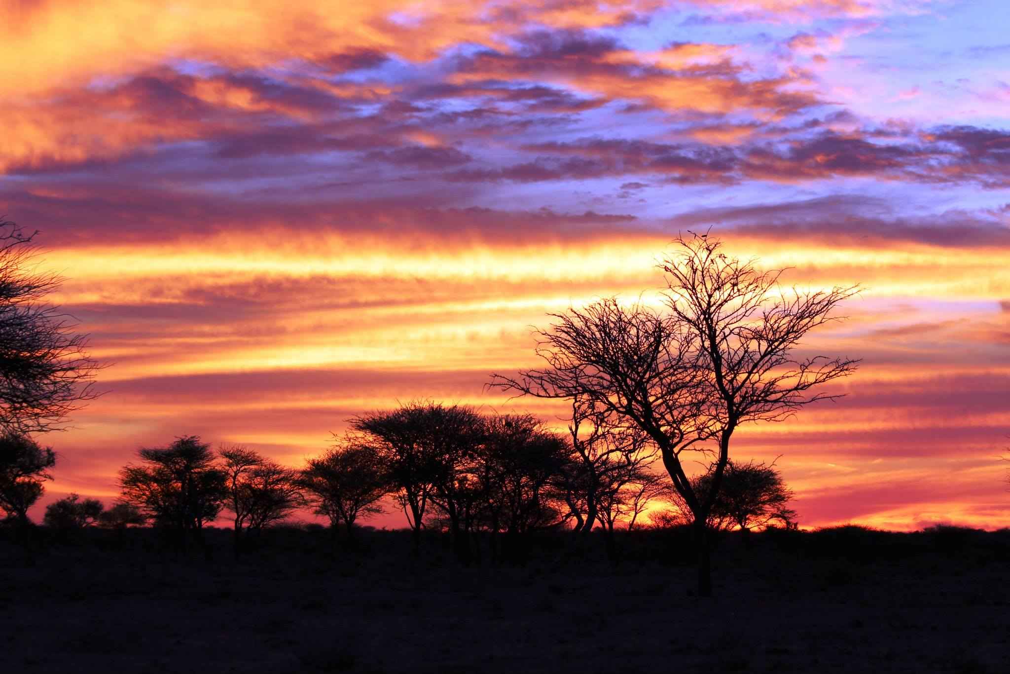 5. okonjima-luxury-bush-camp-views-sunset-01.jpg