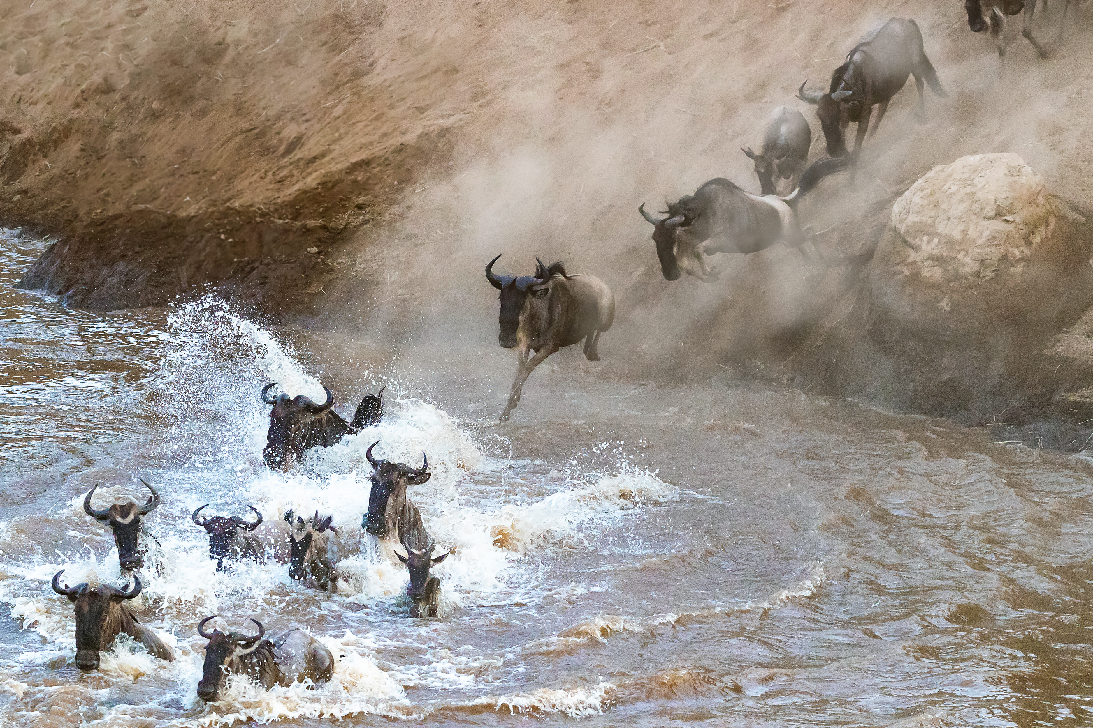 wildebeest-crossing-the-mara-river-during-the-great-migration-AdobeStock_218014906.jpeg