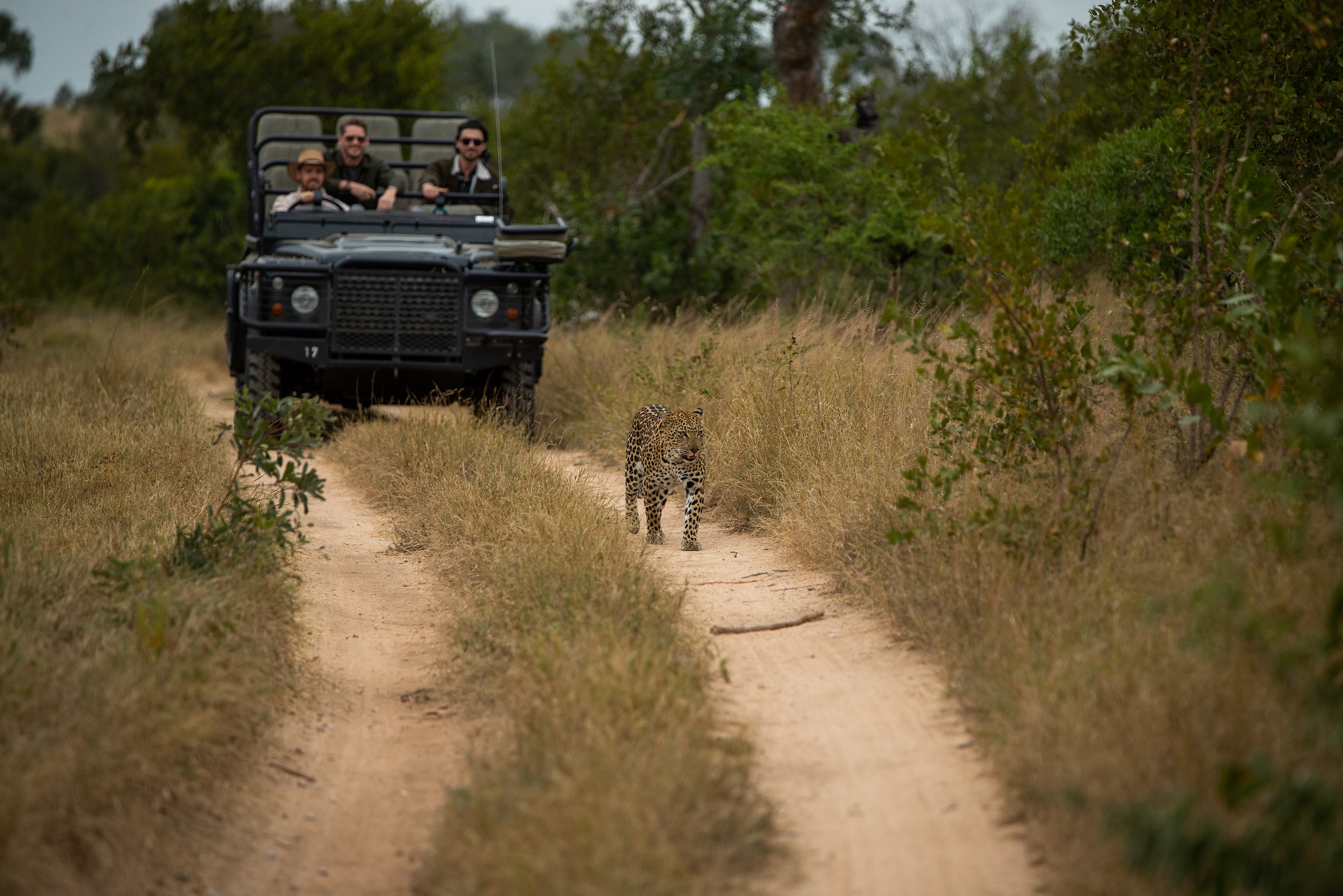 felix-studios-auc-episode-4-londolozi-64-3.jpg