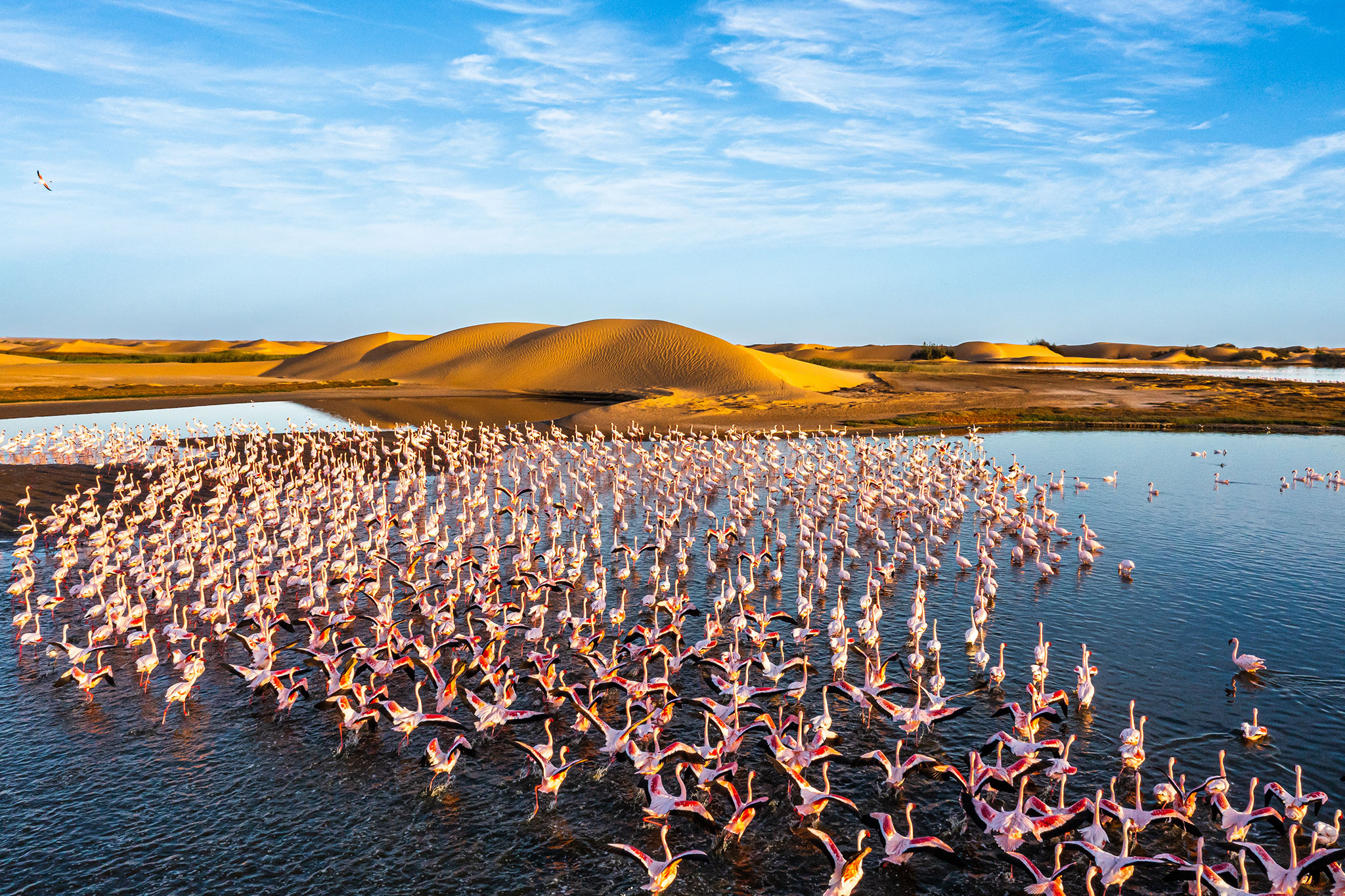 12-desert-scenery-with-saltwater-lagoons-full-of-beautiful-flamingos-namib-nukluft-national-park-walvish-bay-namibia-adobestock566263871-1.jpg