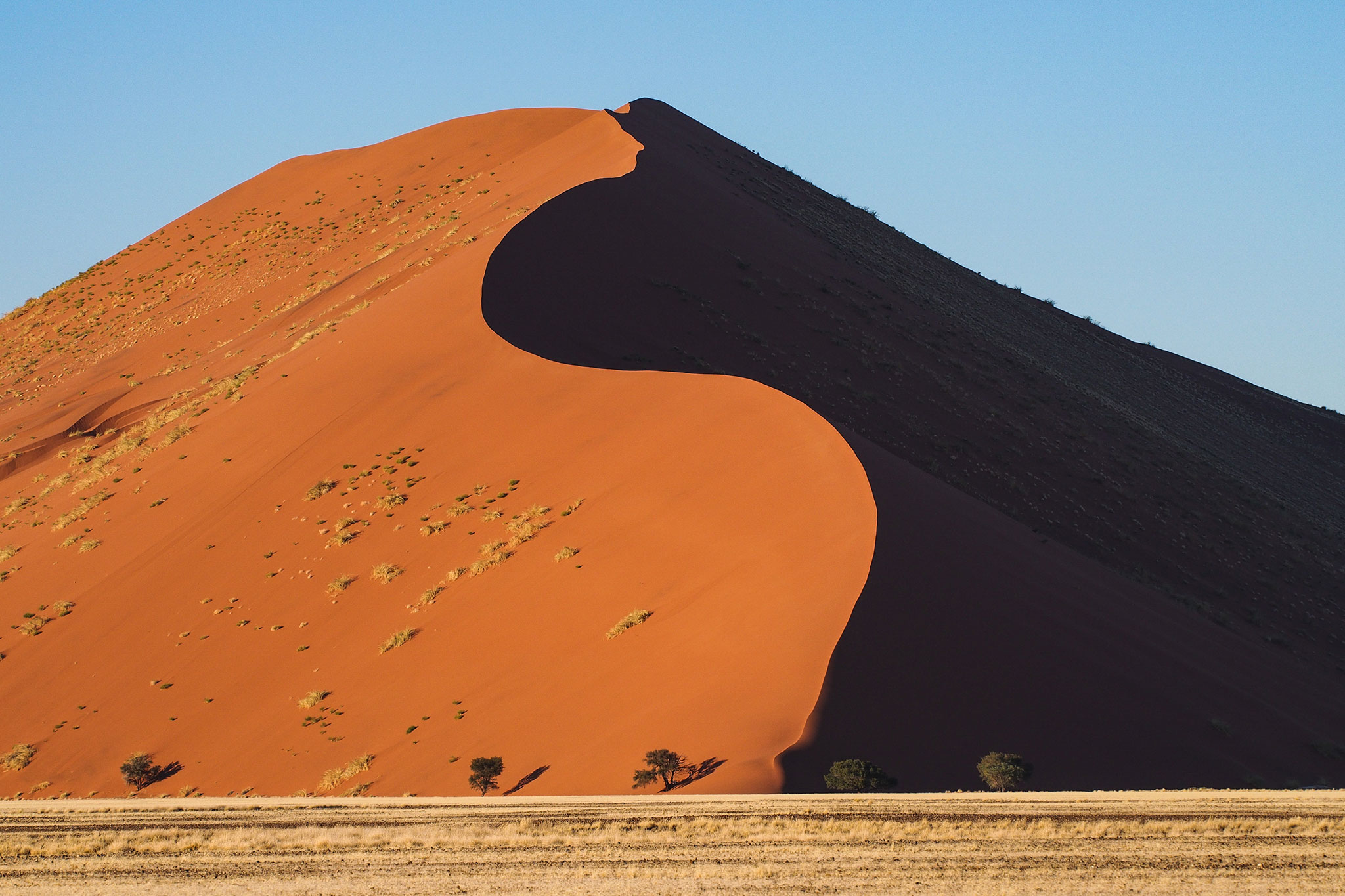 4. big-daddy-dune-namibia-sossusvlei-rhino-africa-safaris-luxury-01.jpg
