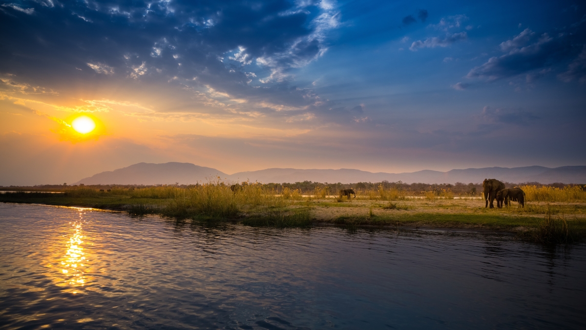 3elephants-in-lower-zambezi-national-park-zambia-AdobeStock_147961153.jpeg