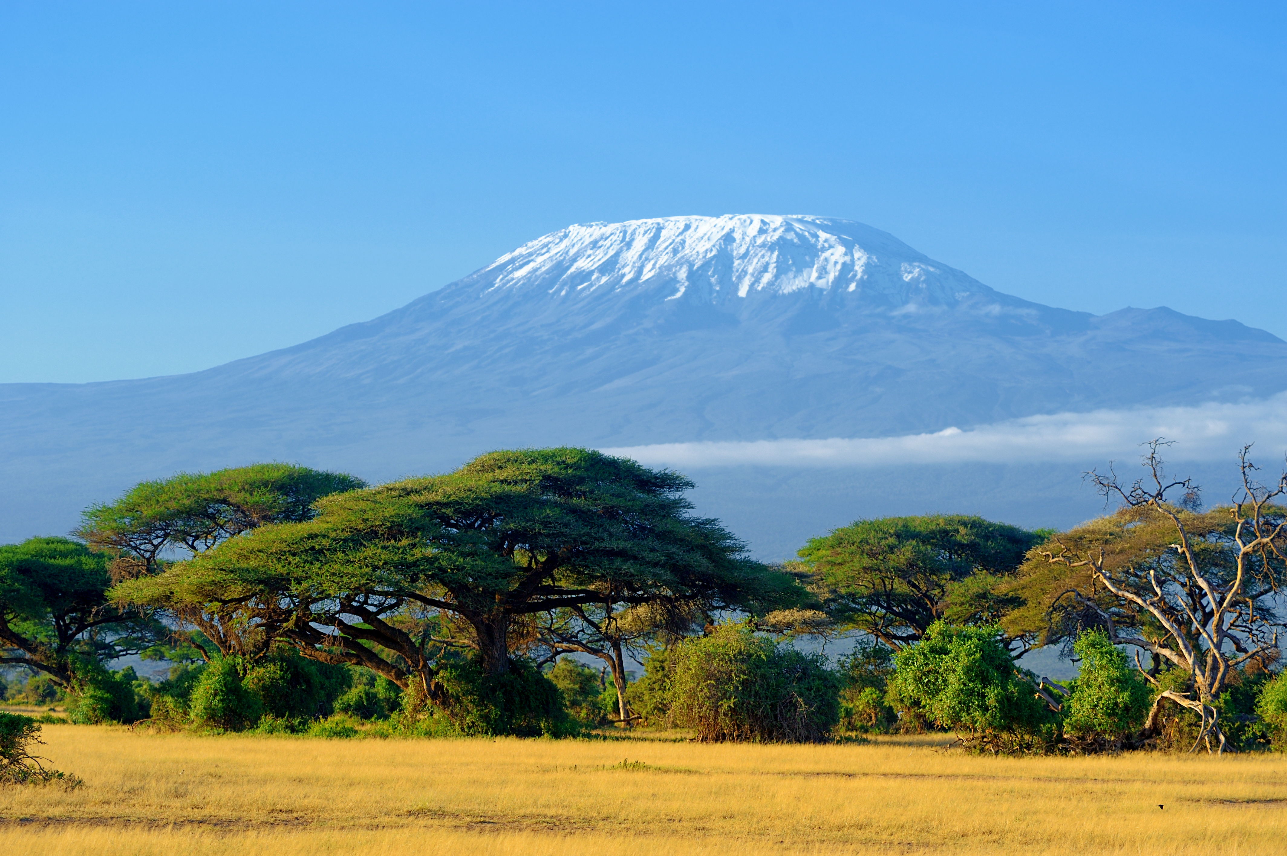 kenya-1.jpeg