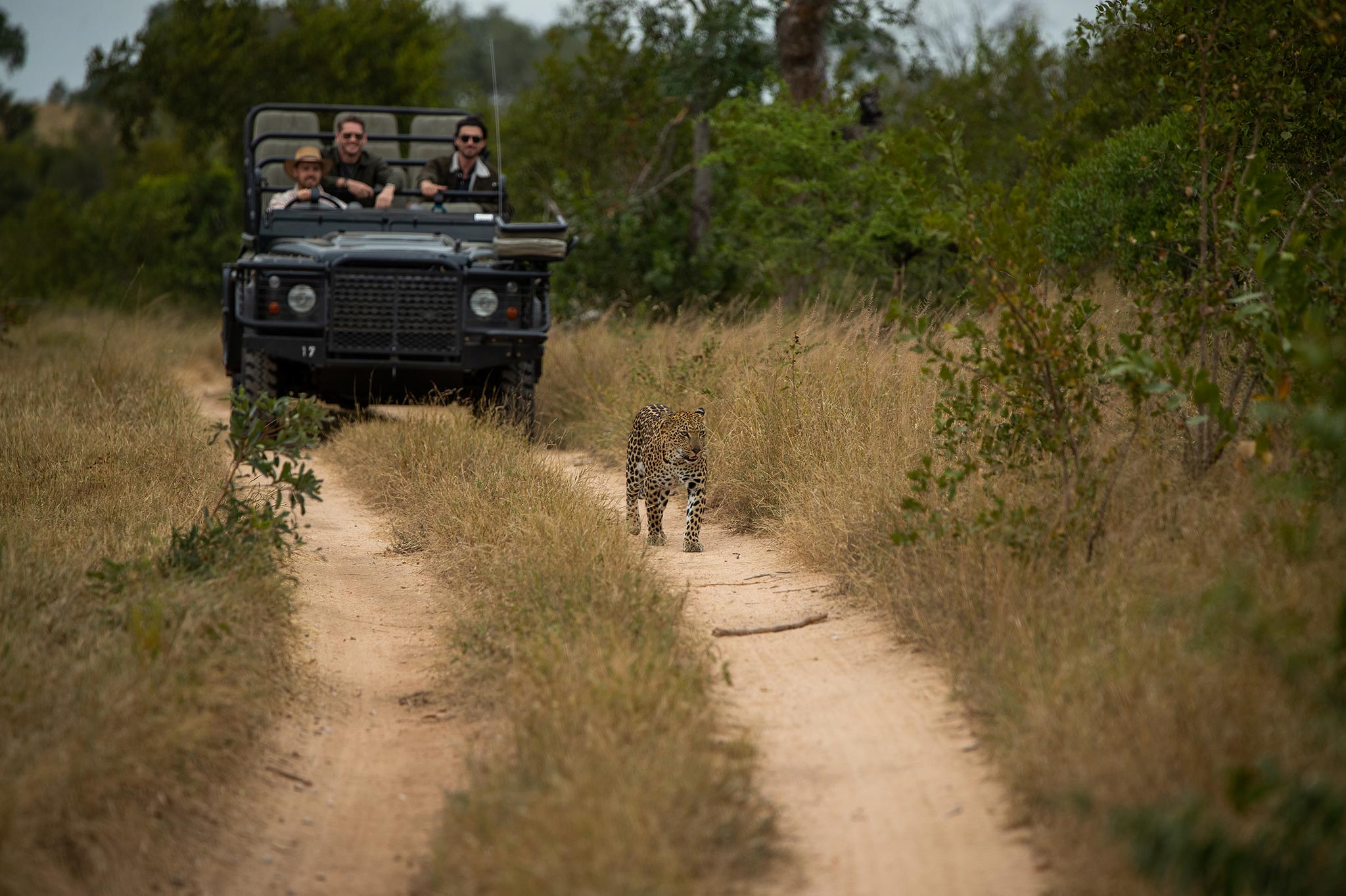 felix-studios-auc-episode-4-londolozi-64-2.jpg