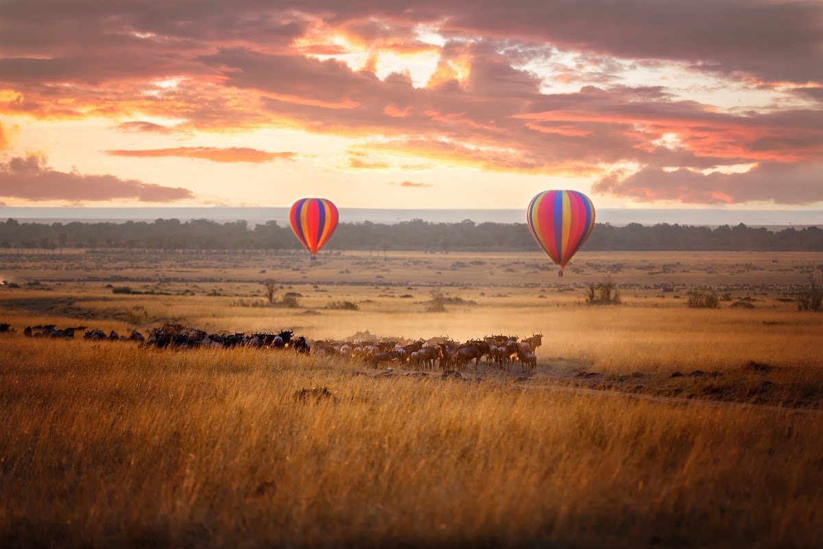 2. great-migration-hot-air-balloon.jpeg