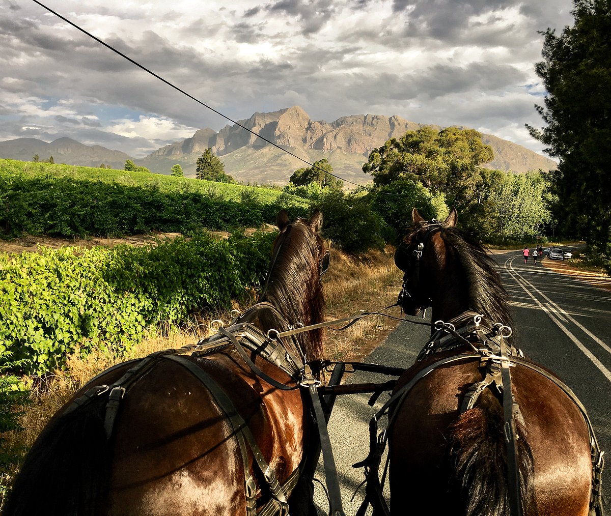 our-carriage-rides-offer.jpg