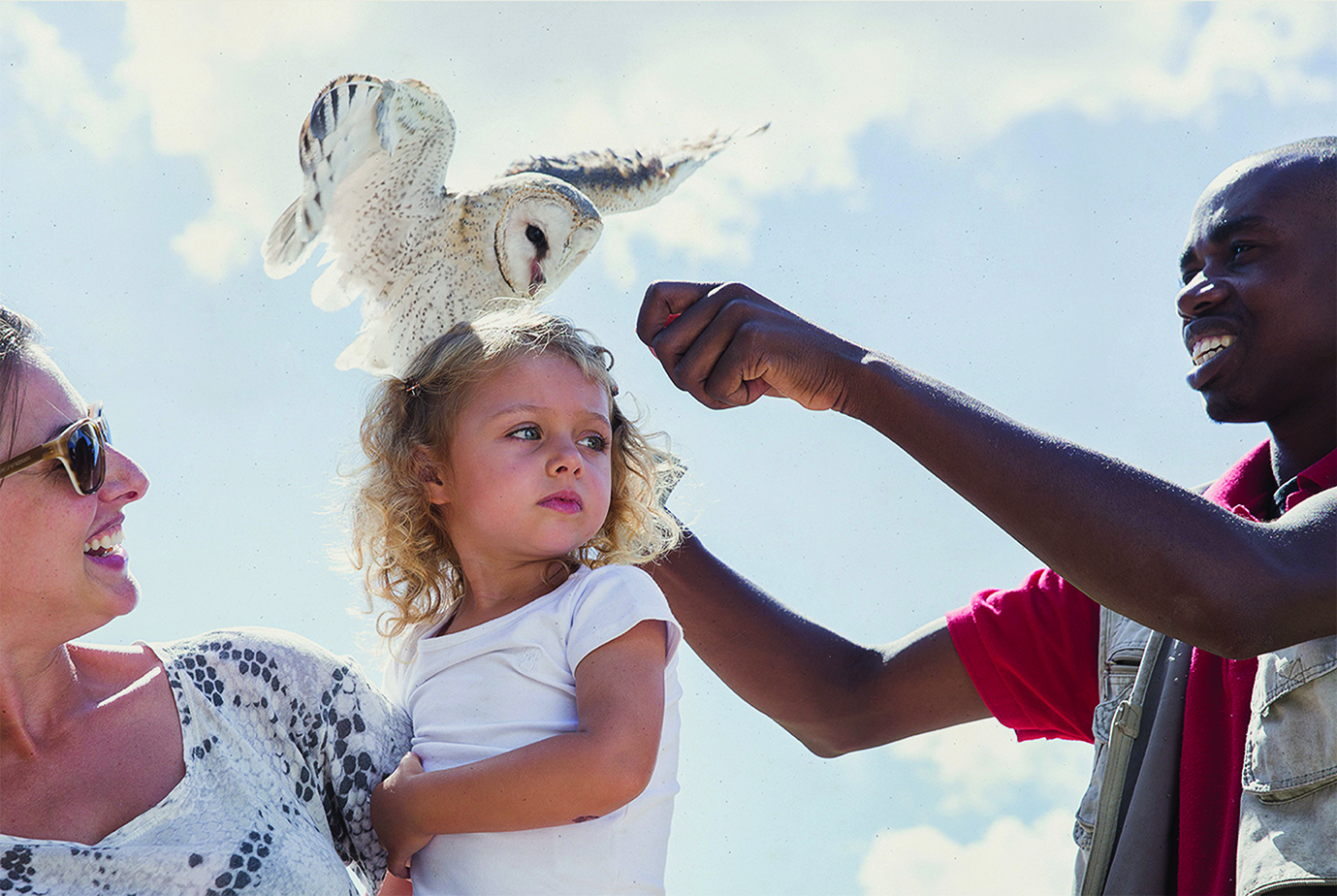 spier-childrens-activities-eagle-encounters-family-with-handler.jpg