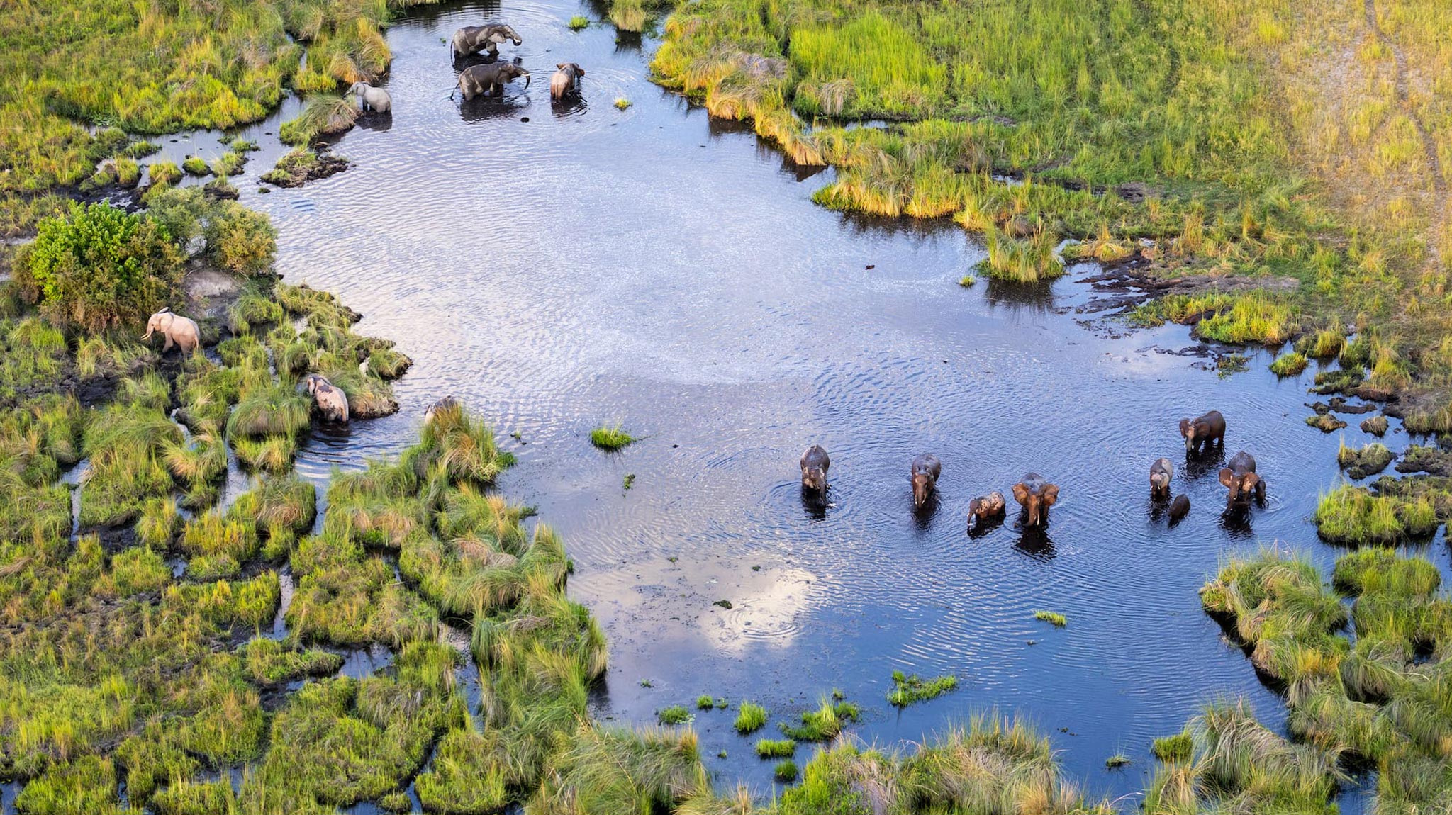 02-aerial-view-to-wild-nature-of-delta-okavango-in-botswana-1.jpeg