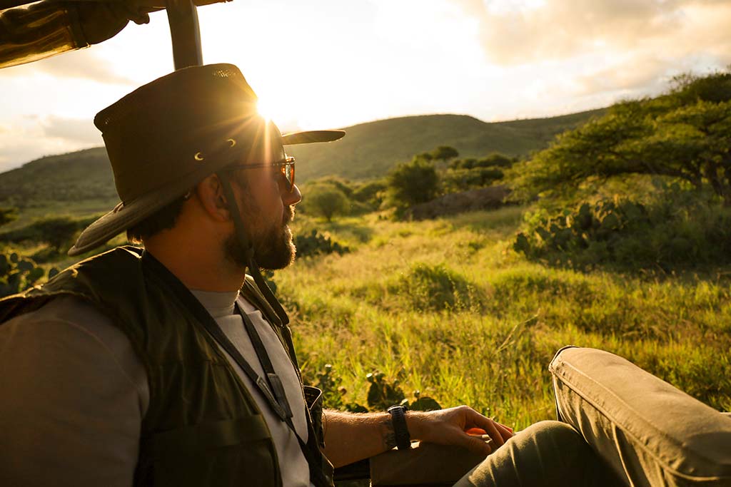 2_east-african-serengeti-savanna-grassland-at-sunset-in-maasai-mara-AdobeStock_392134929.jpg