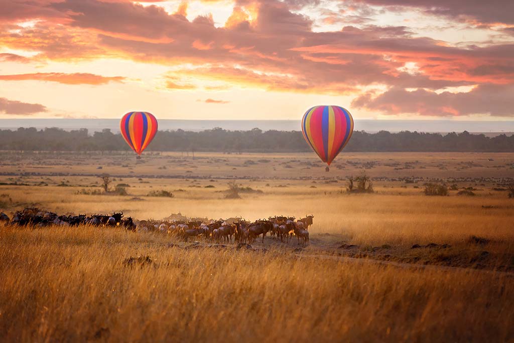 3_east-africa-masai-mara-sunrise-with-wildebeest-and-balloons_203505841.jpg