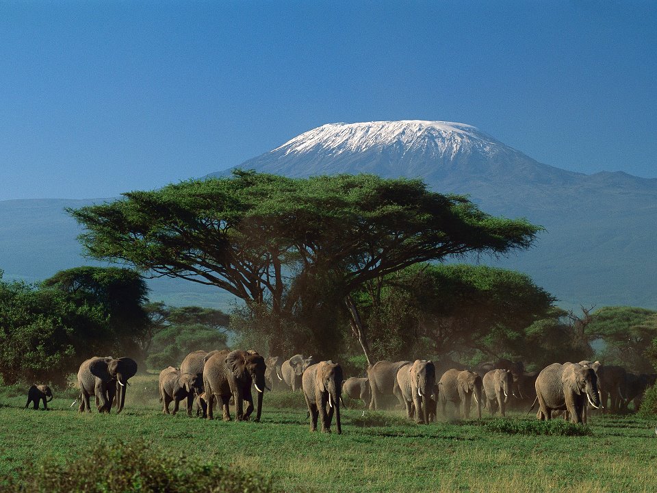 East Africa - Kilimanjaro.jpg