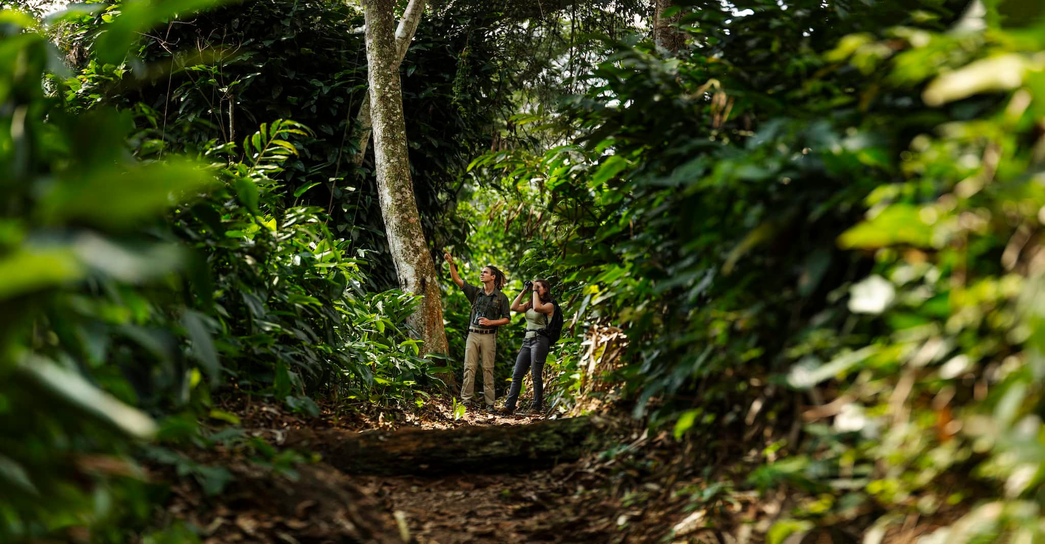 Republic-of-Congo-odzala-activities-bush-walk_L1B4215-Pano.jpeg