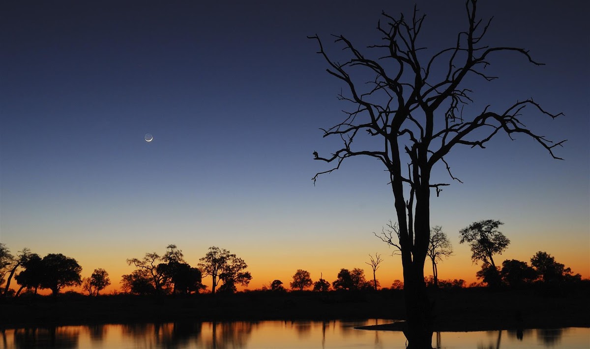 amazing-sunsets-hwange-national-park-zimbabwe-1.jpg