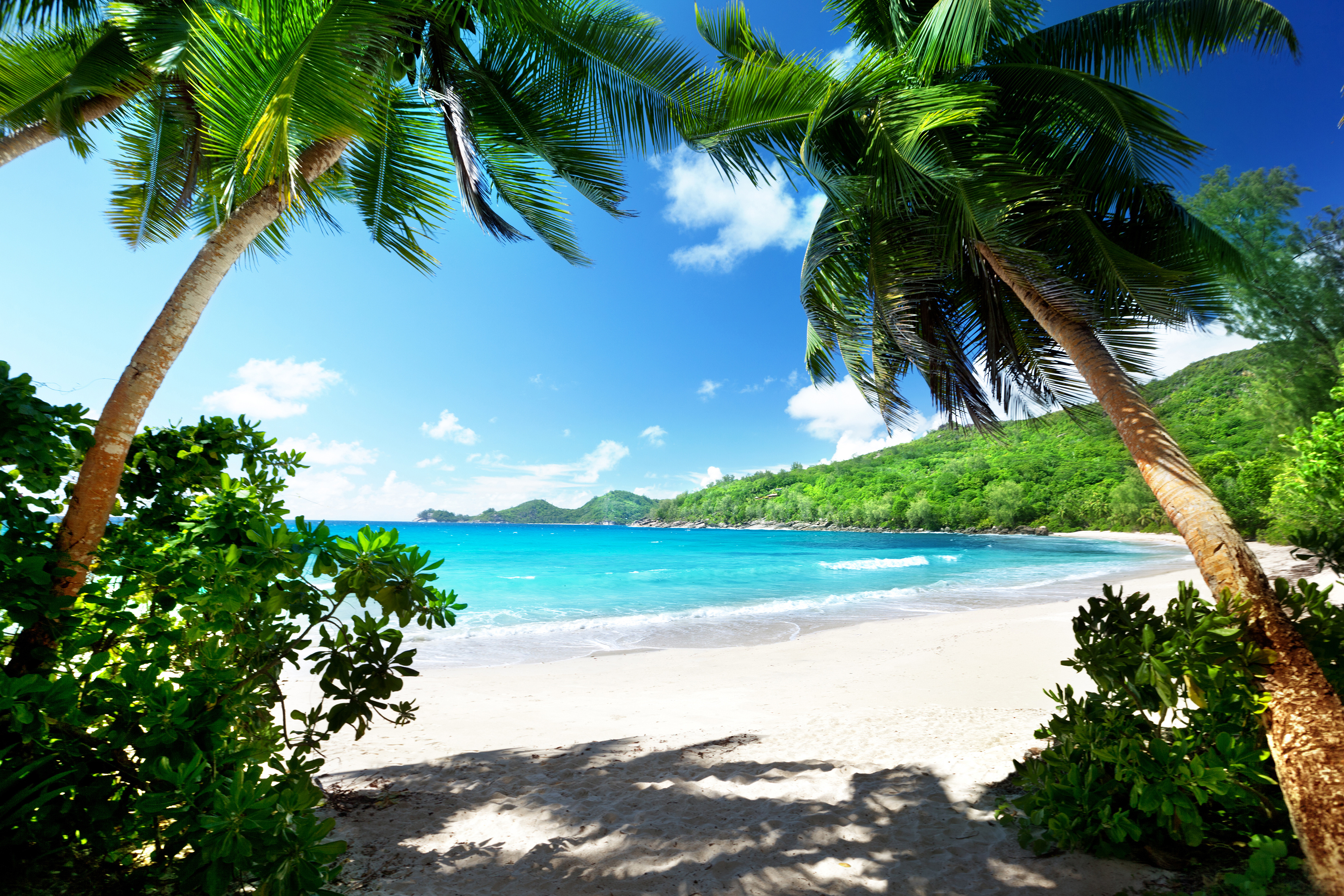 beach-mahe-island-seychelles_61515092.jpeg