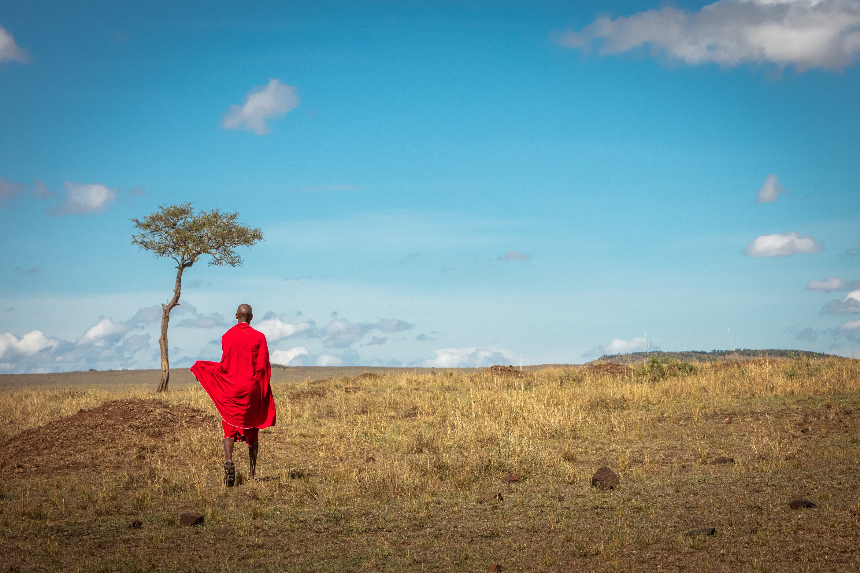 maasai-tribe-man-walking-away-in-kenya-africa_314559507.jpeg