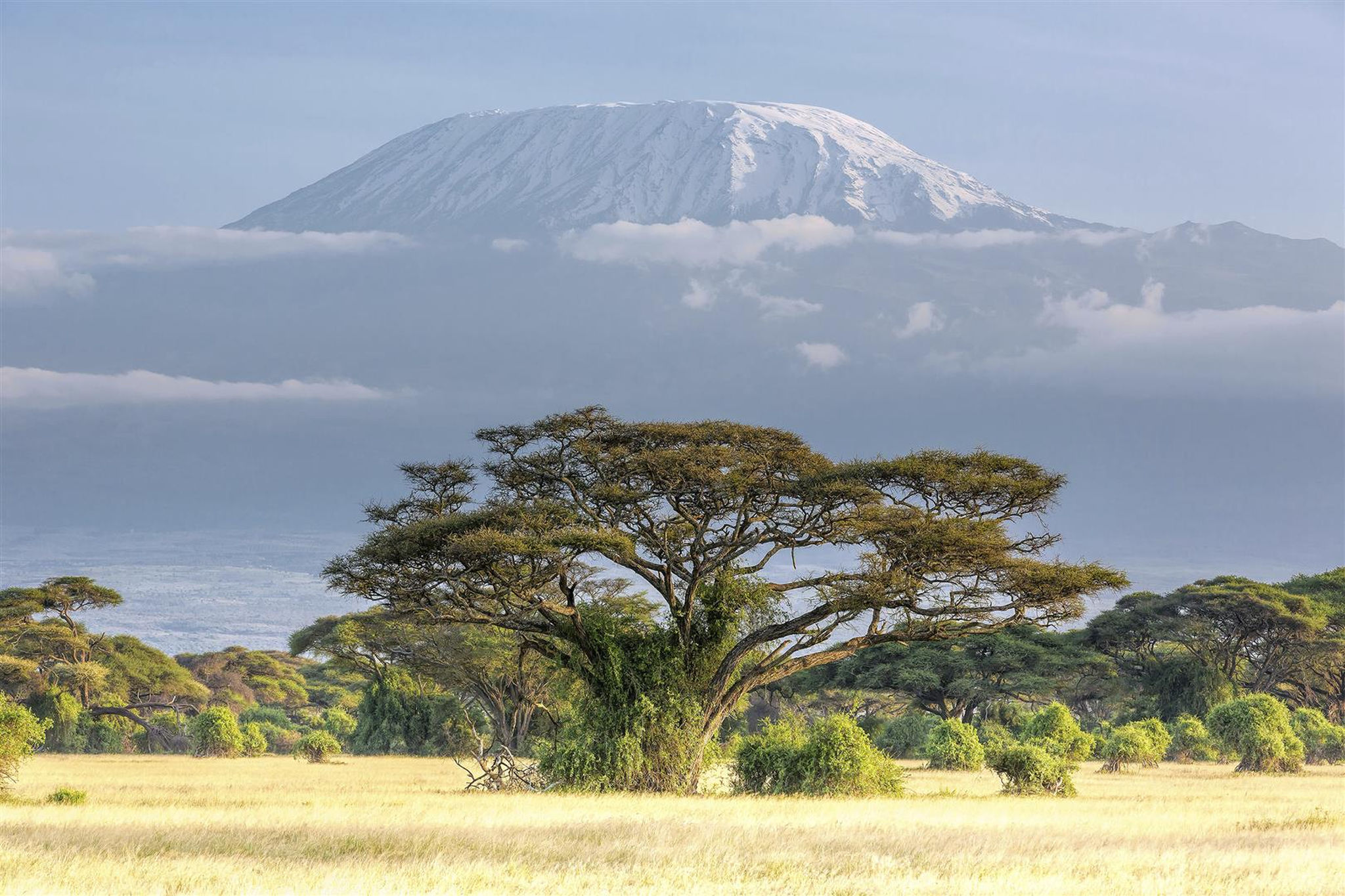mt-kilimanjaro-landscape-tanzania.jpg