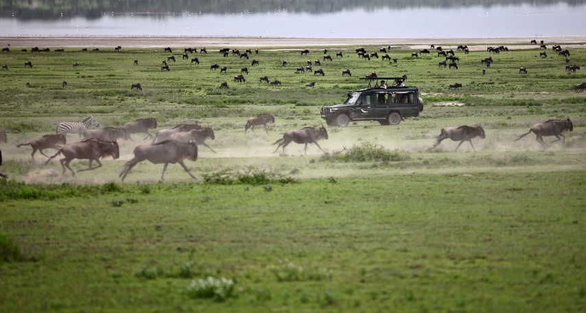 serengeti-activities-game-drive-migrationtanzania-small.jpg