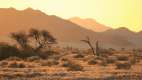 Desert landscape at Homestead lodge