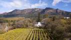 Aerial view of a wine farm in Cape Town