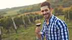 Young man drinking wine in a vineyard