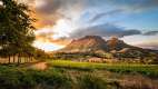 Wine farm near Stellenbosch, South Africa