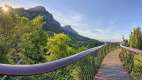 Treetop canopy walkway in Kirstenbosch gardens