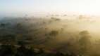 Aerial landscape view of Kruger National Park