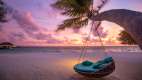 Palm tree hammock over the beach