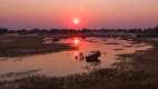 Okavango Delta at sunset