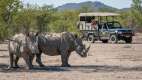 Rhinos seen whilst on a game drive