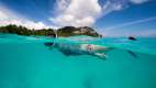 Snorkelling at North Island