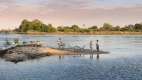 Picnic on a small island in the Zambezi River