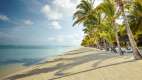 Lux le Morne beach views with Palm trees