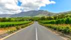 Winelands and grape farms in the Western Cape