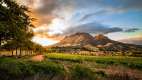 Wine region near Stellenbosch, looking towards Simonsberg